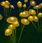 BioBloom Garden Lights | Solar Jellyfish Path Markers | 6 LED per Unit