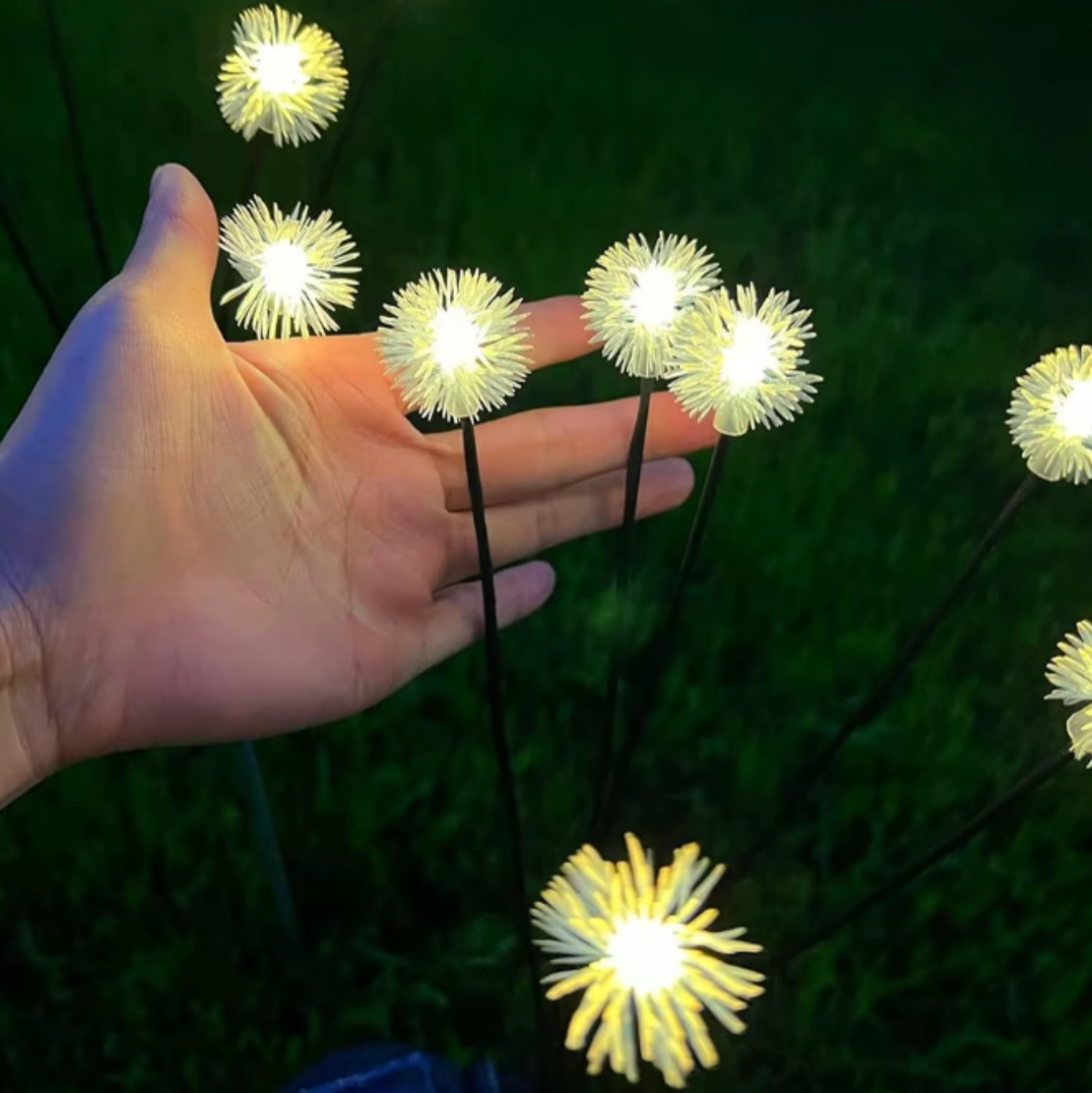 Solar Dandelion Garden Light | 6 LED Heads & Lawn Stake | Outdoor Landscape & Pathway Decor