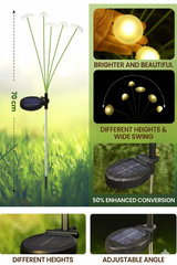 BioBloom Garden Lights | Solar Jellyfish Path Markers | 6 LED per Unit